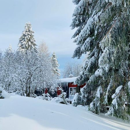 Baude Steinheid Am Rennsteig Mit 12 Betten Екстер'єр фото