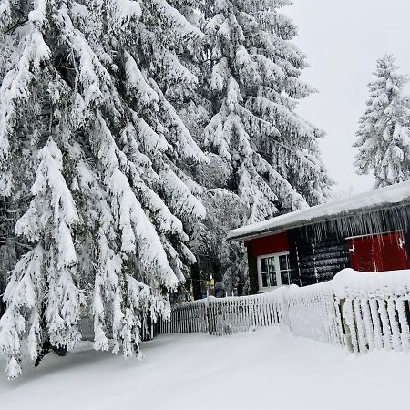 Baude Steinheid Am Rennsteig Mit 12 Betten Екстер'єр фото